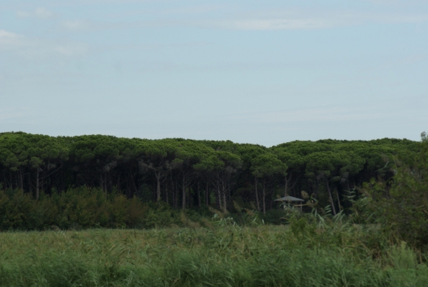 Park Del Delta Del Po (nebo tak nějak)