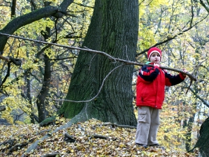 Tobík se stromkem, který táhl přes celý les