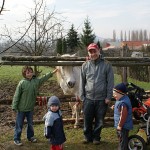 Hromadné foto s koněm